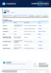 L-Carnitine 2 mg batch coa: first page, low-resolution preview